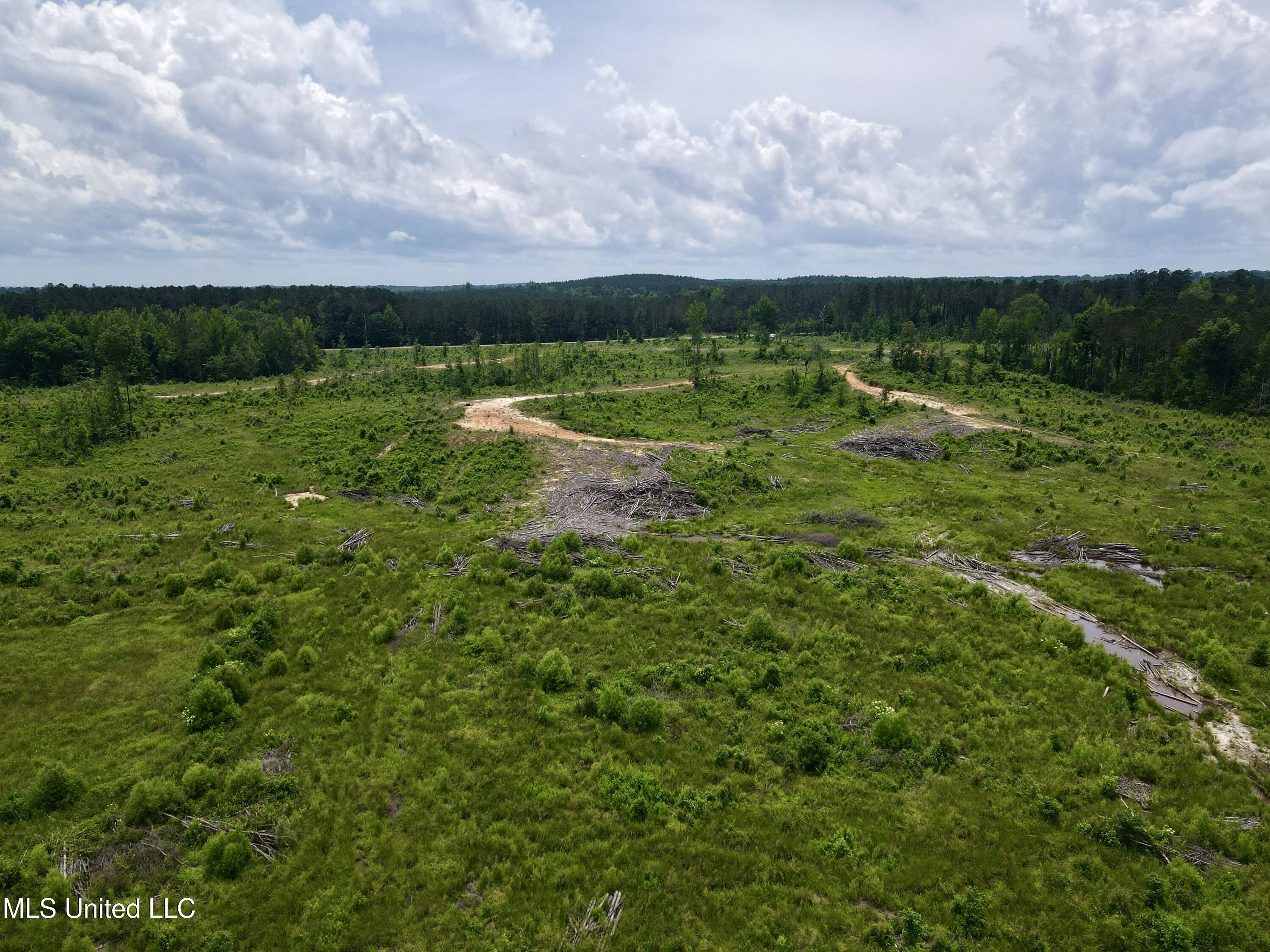 Rockport Rd Road McCool, MS 39108 - Photo 2 of 18 dji_fly_20250524_130516_361_174810993923