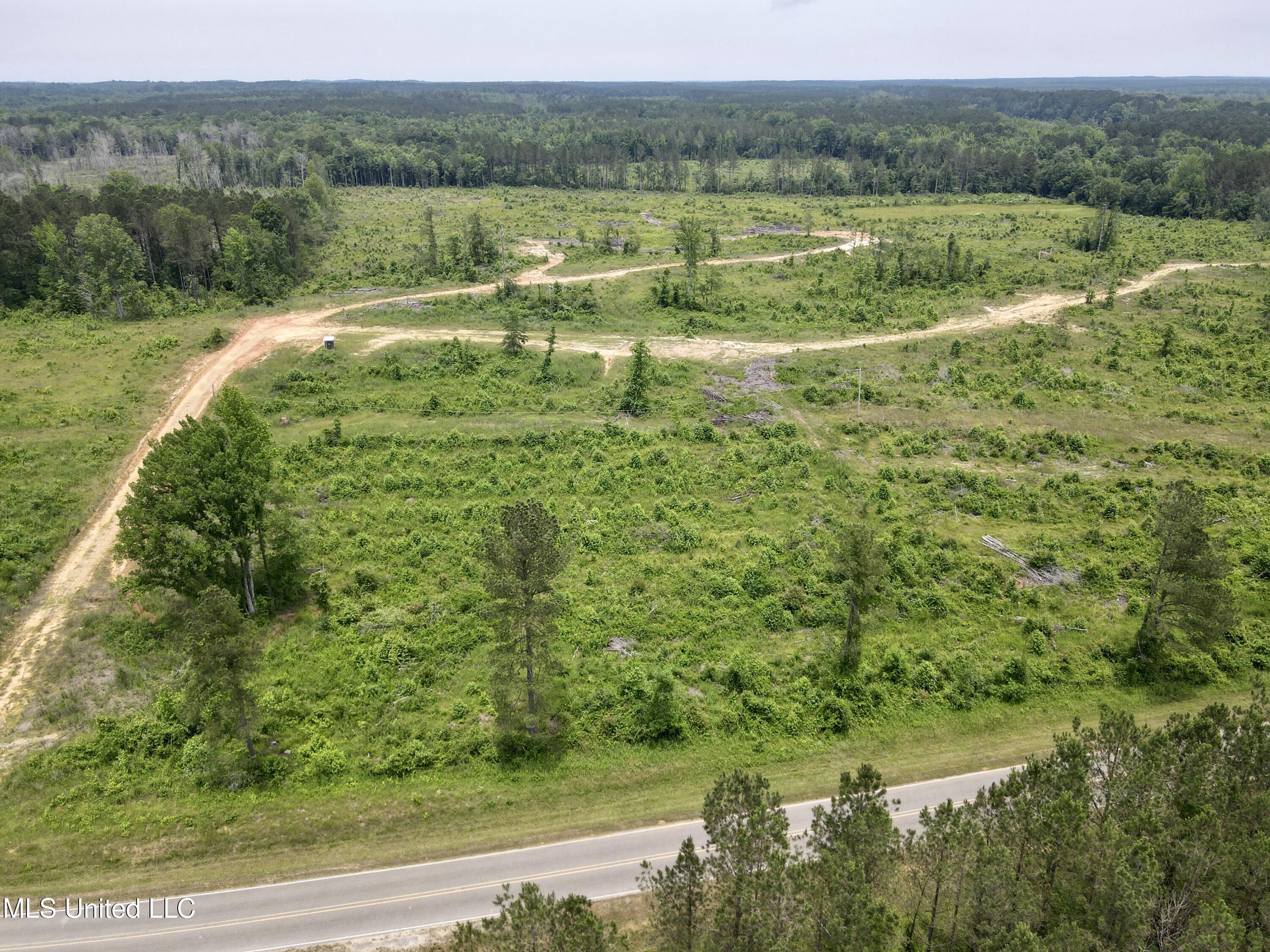 Rockport Rd Road McCool, MS 39108 - Photo 3 of 18 dji_fly_20250524_130634_362_174811001146