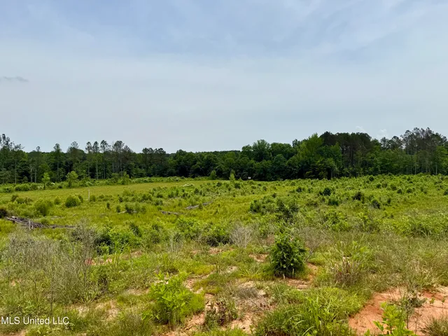 $135,000 | Rockport Rd Road, McCool, MS 39108