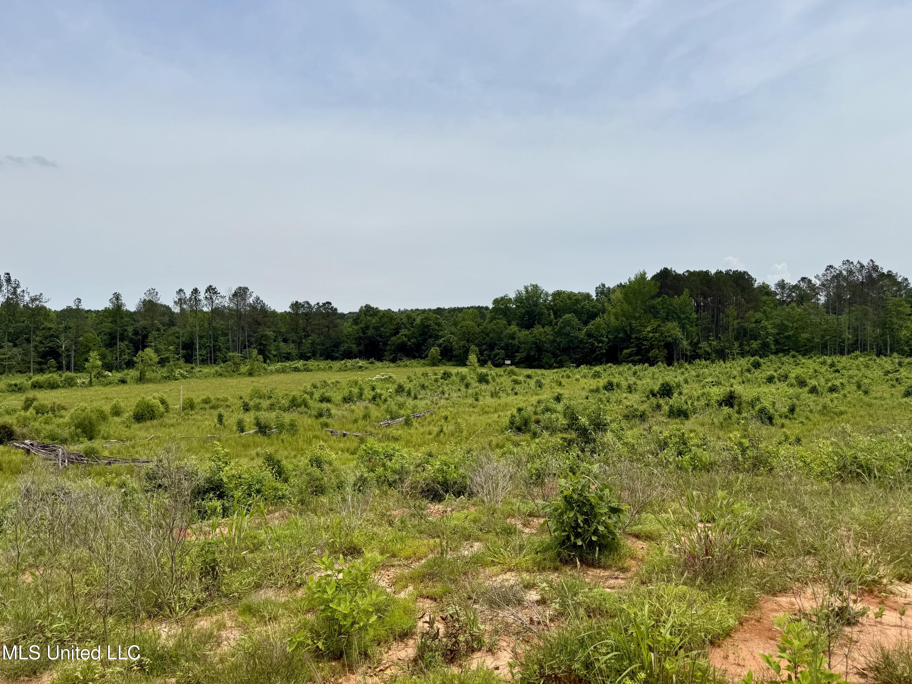 Rockport Rd Road McCool, MS 39108 - Photo 4 of 18 IMG_0958