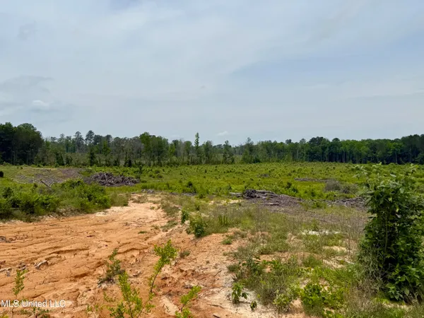 $135,000 | Rockport Rd Road, McCool, MS 39108