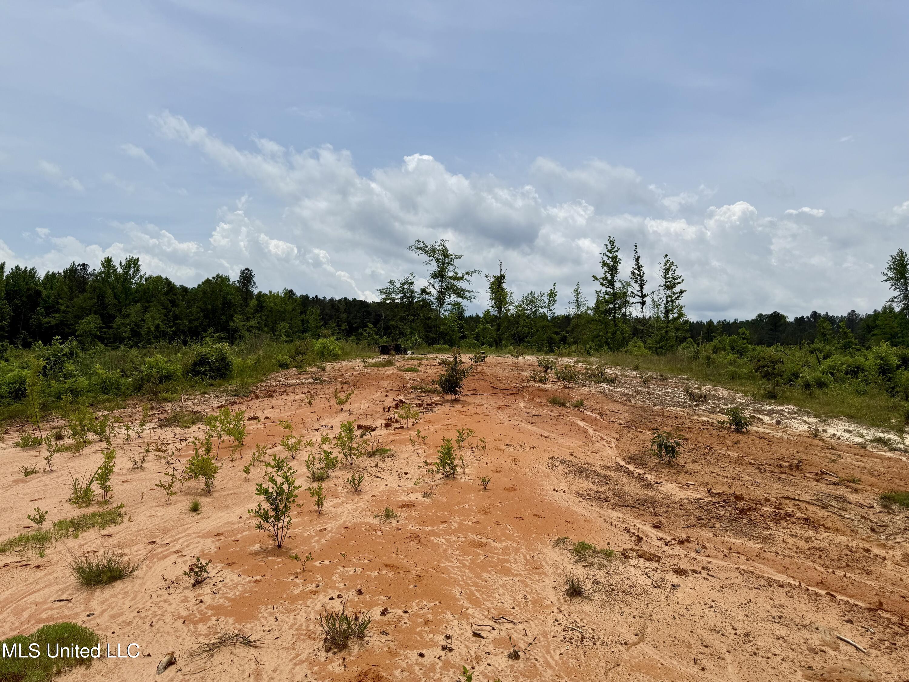 Rockport Rd Road McCool, MS 39108 - Photo 6 of 18 IMG_0960