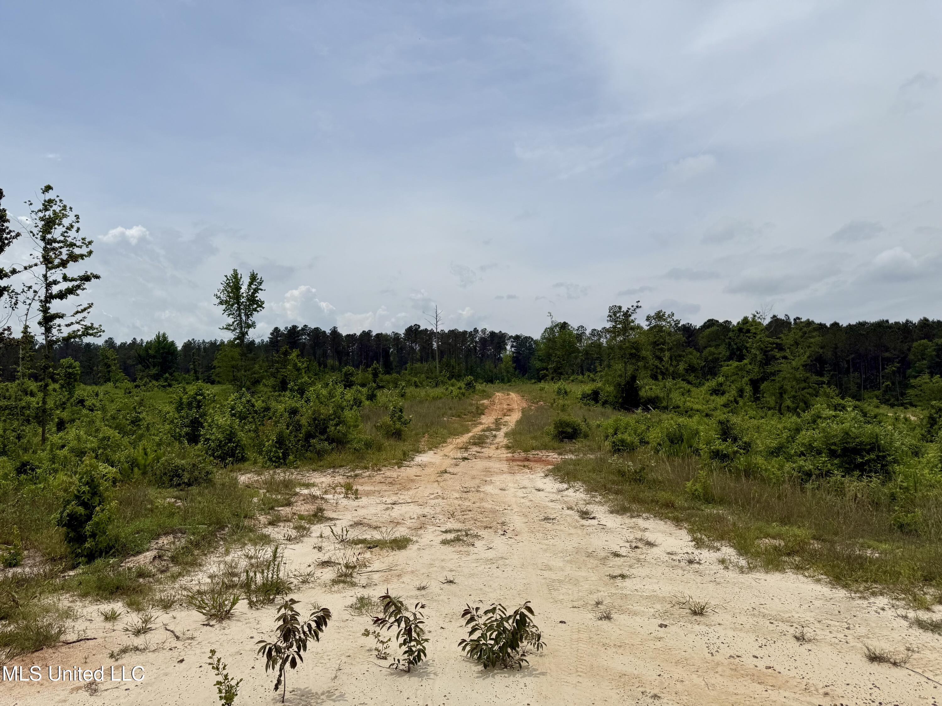 Rockport Rd Road McCool, MS 39108 - Photo 7 of 18 IMG_0961