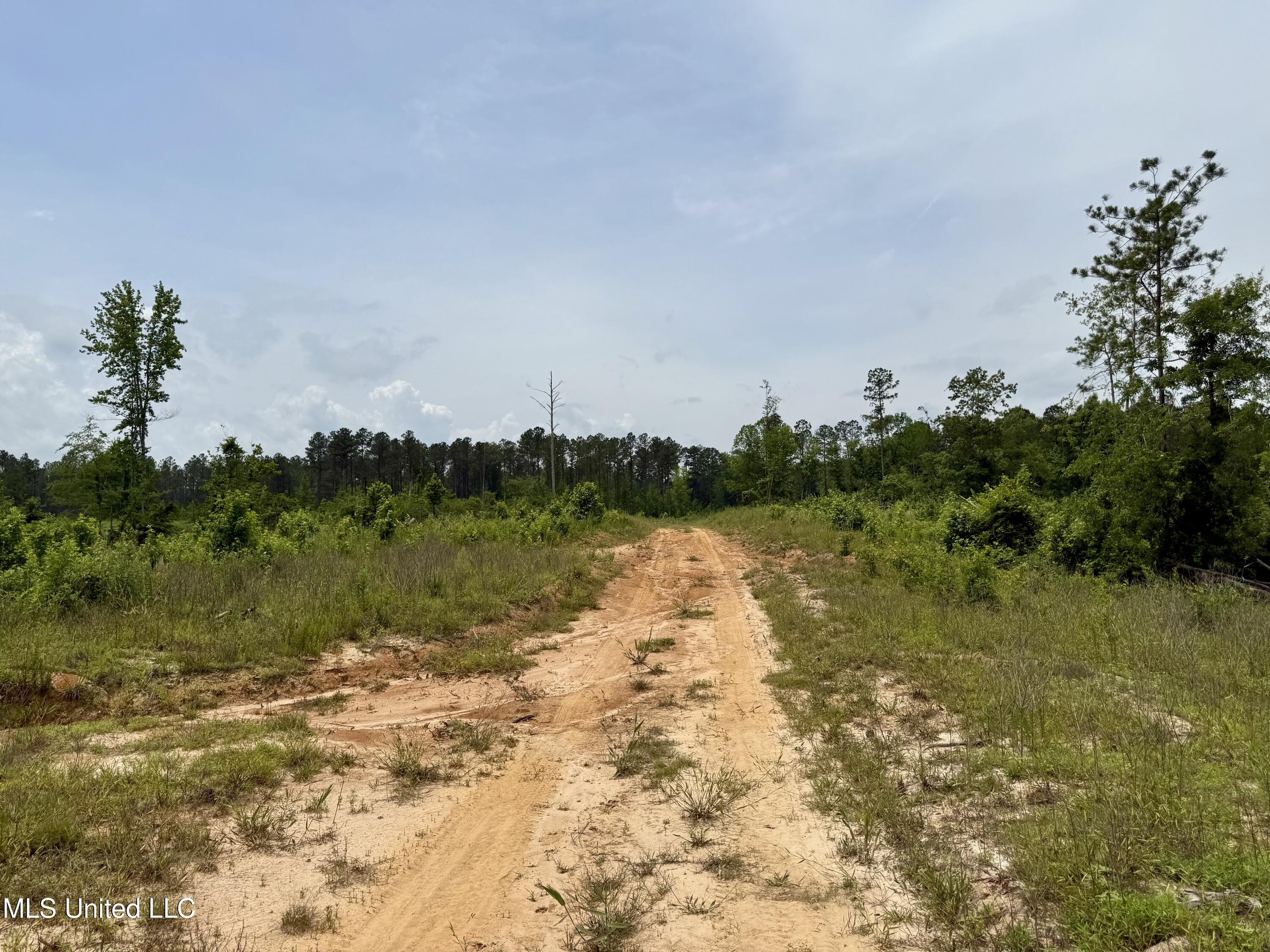 Rockport Rd Road McCool, MS 39108 - Photo 8 of 18 IMG_0963