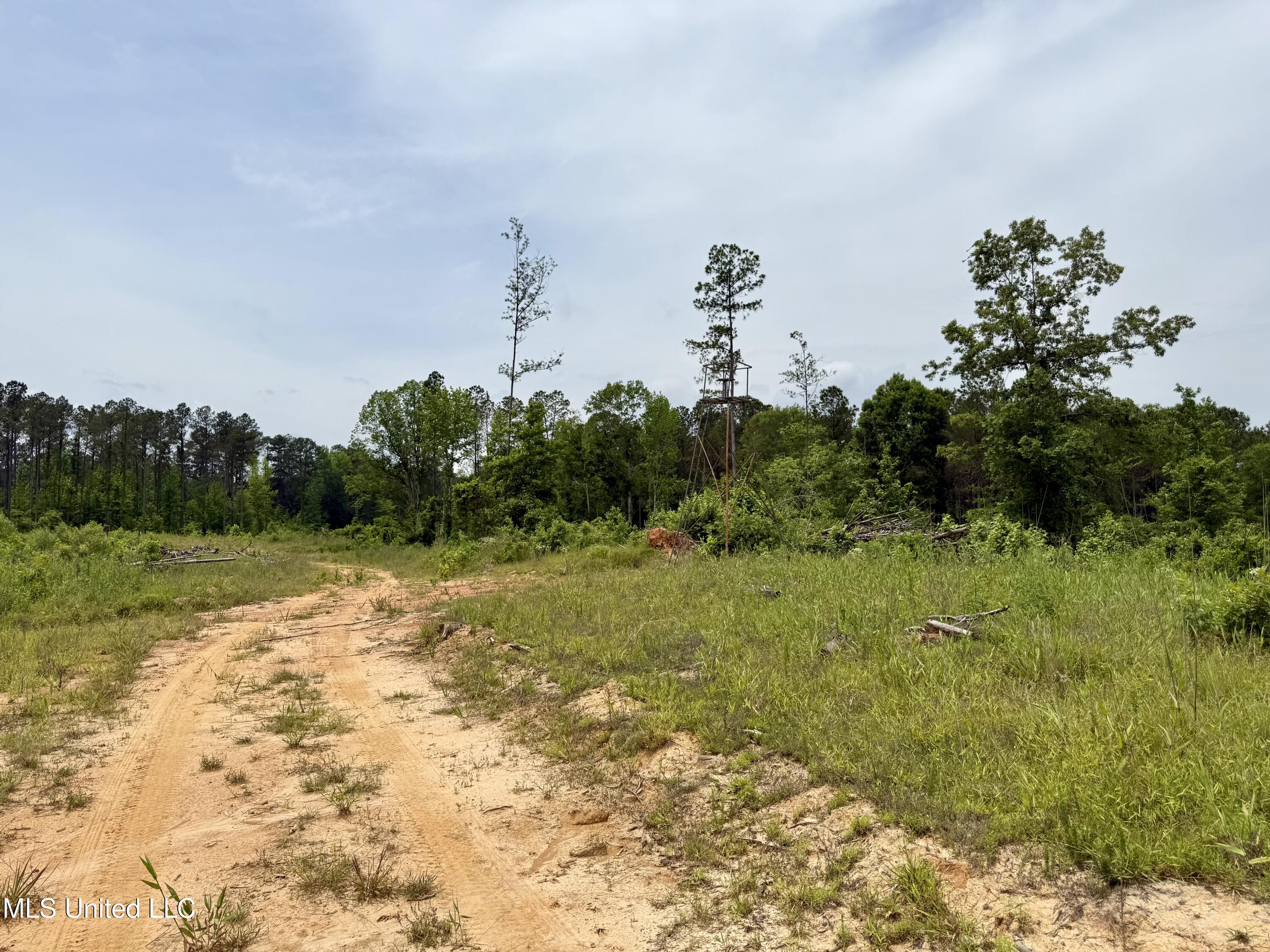 Rockport Rd Road McCool, MS 39108 - Photo 9 of 18 IMG_0964
