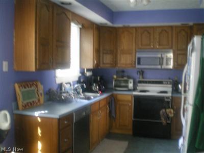1251 Quilliams Road Cleveland Heights, OH 44121 - Photo 6 of 10 Redone Kitchen