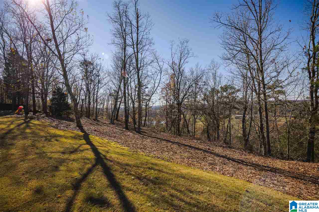 1345 Hickory Valley Road Trussville, AL 35173 - Photo 36 of 43