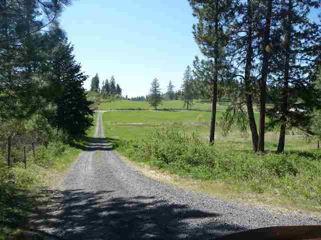 29914 North Dunn Road Chattaroy, WA 99003 - Photo 8 of 13