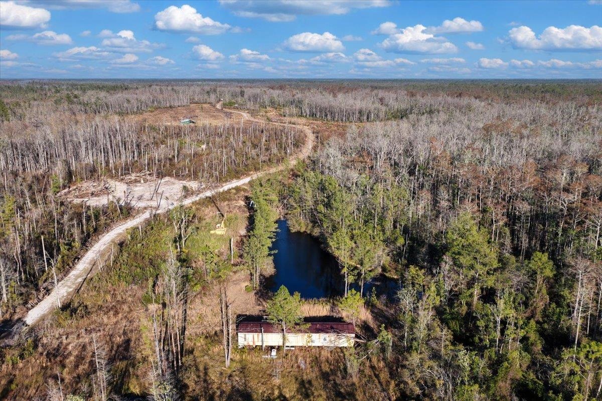 8412 Southwest Tower Road Madison, FL 32340 - Photo 4 of 32