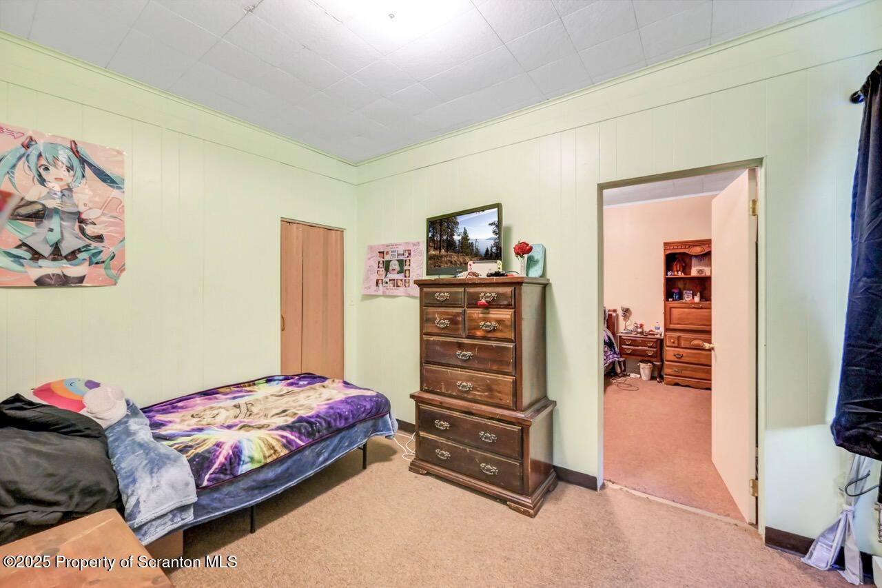 535 Green Ridge Street Scranton, PA 18509 - Photo 50 of 72 a bedroom with furniture and closet