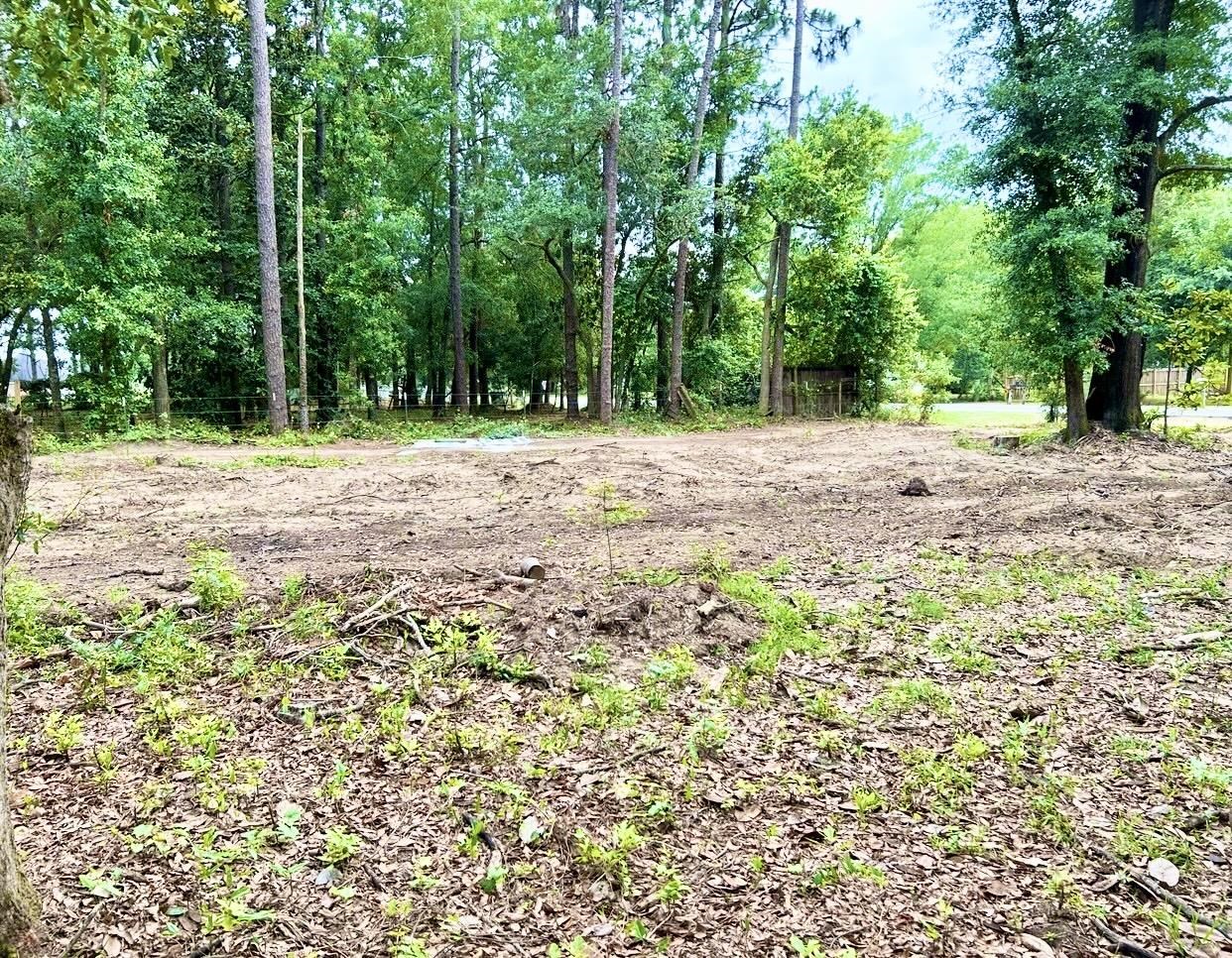 21414 Bohemian Hall Road Silverhill, AL 36576 - Photo 1 of 4