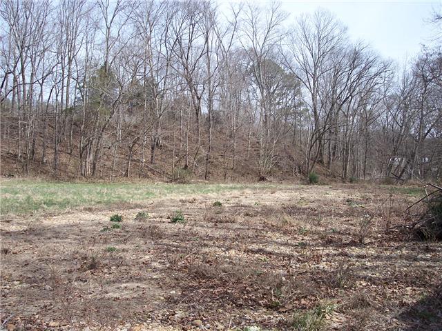 0 Hassell Creek Road Lyles, TN 37098 - Photo 3 of 9 Gallery Image 3