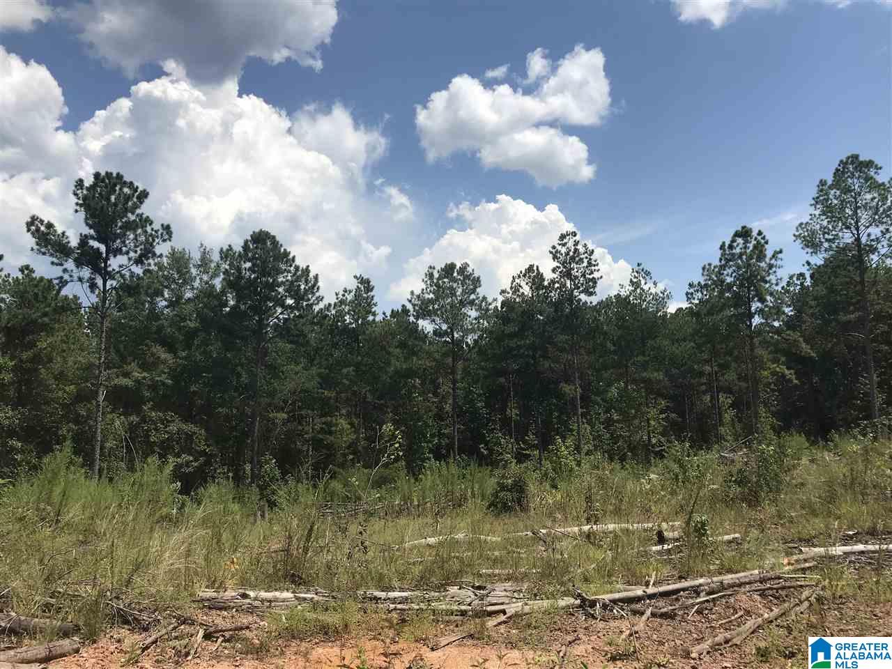 0 County Road 454 Clanton, AL 35046 - Photo 2 of 7