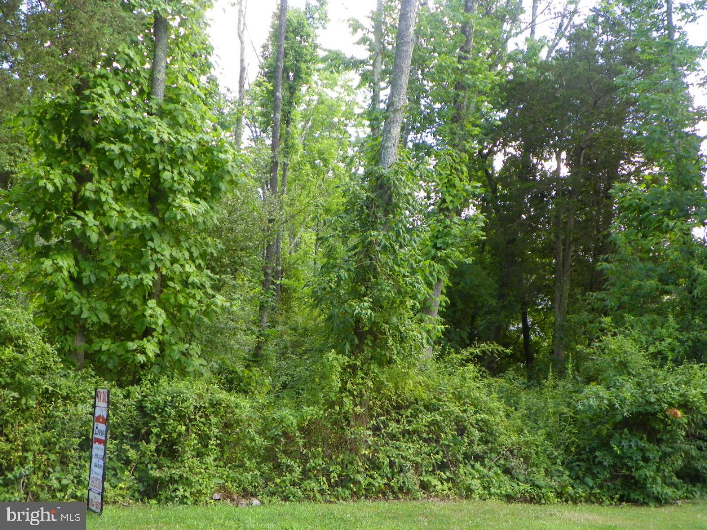Lot 089 Upper Ridge Road Green Lane, PA 18054 - Photo 2 of 3