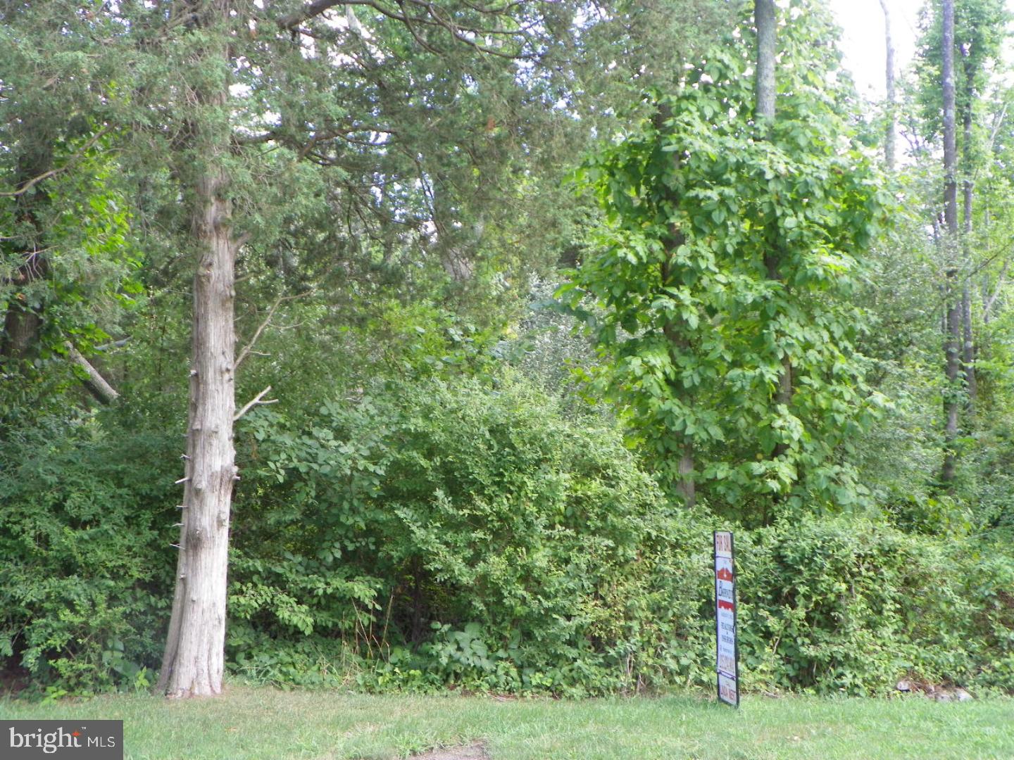 Lot 089 Upper Ridge Road Green Lane, PA 18054 - Photo 3 of 3