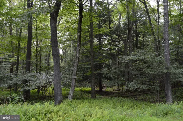$6,000 | Lot 256 Azalea Lane, Terra Alta, WV 26764