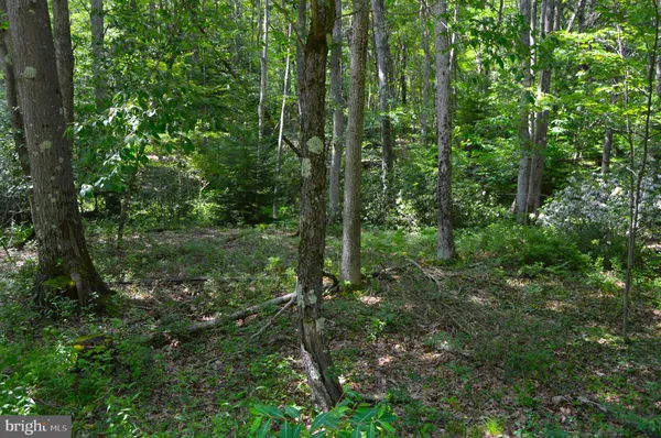 $6,000 | Lot 256 Azalea Lane, Terra Alta, WV 26764