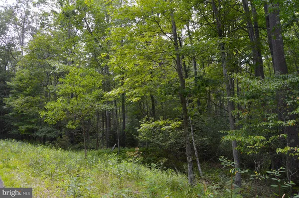 $6,000 | Lot 256 Azalea Lane, Terra Alta, WV 26764
