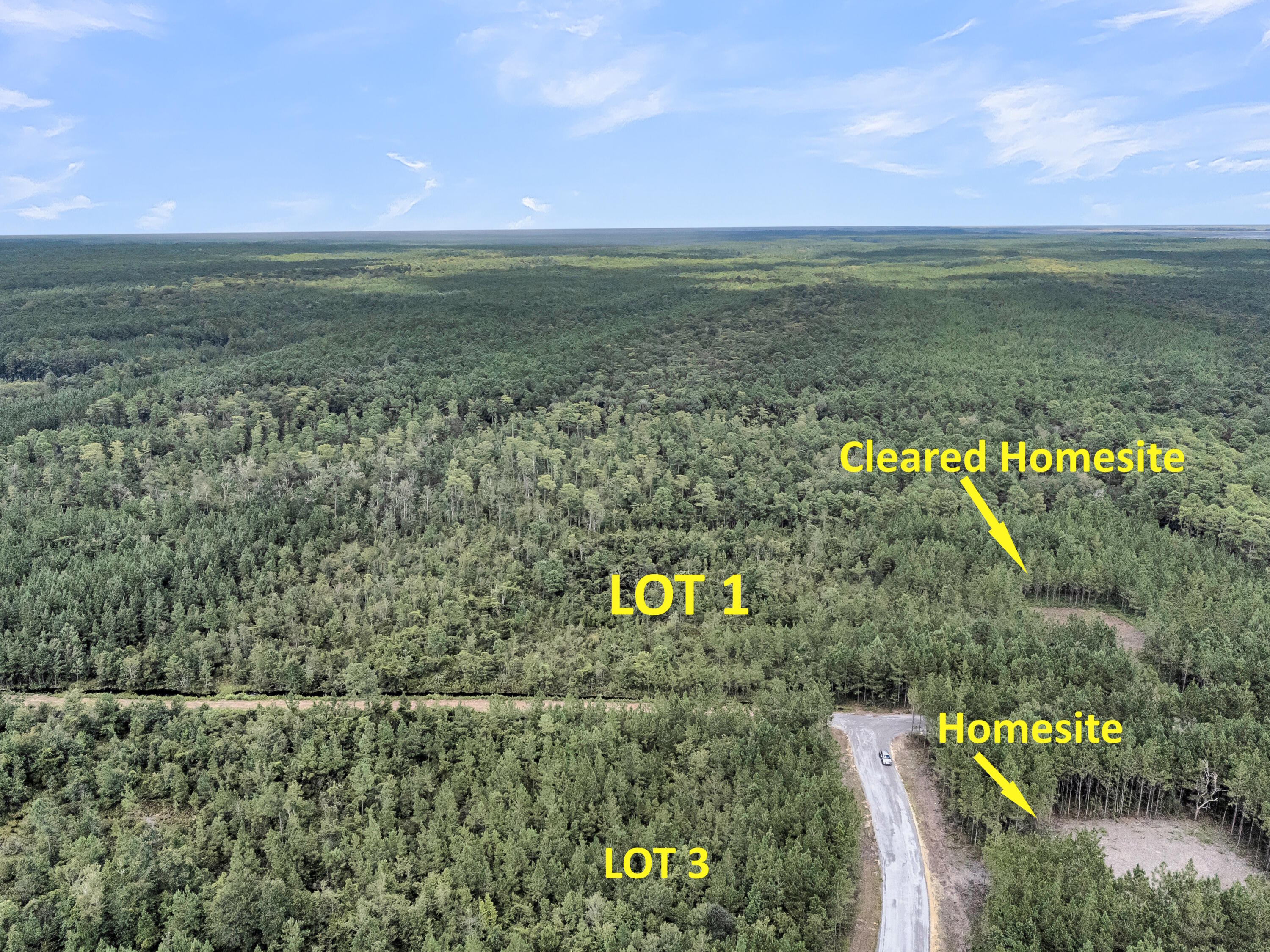 2043 Silas Road McClellanville, SC 29458 - Photo 5 of 7 CREM - 0 Silas Rd-7arrow