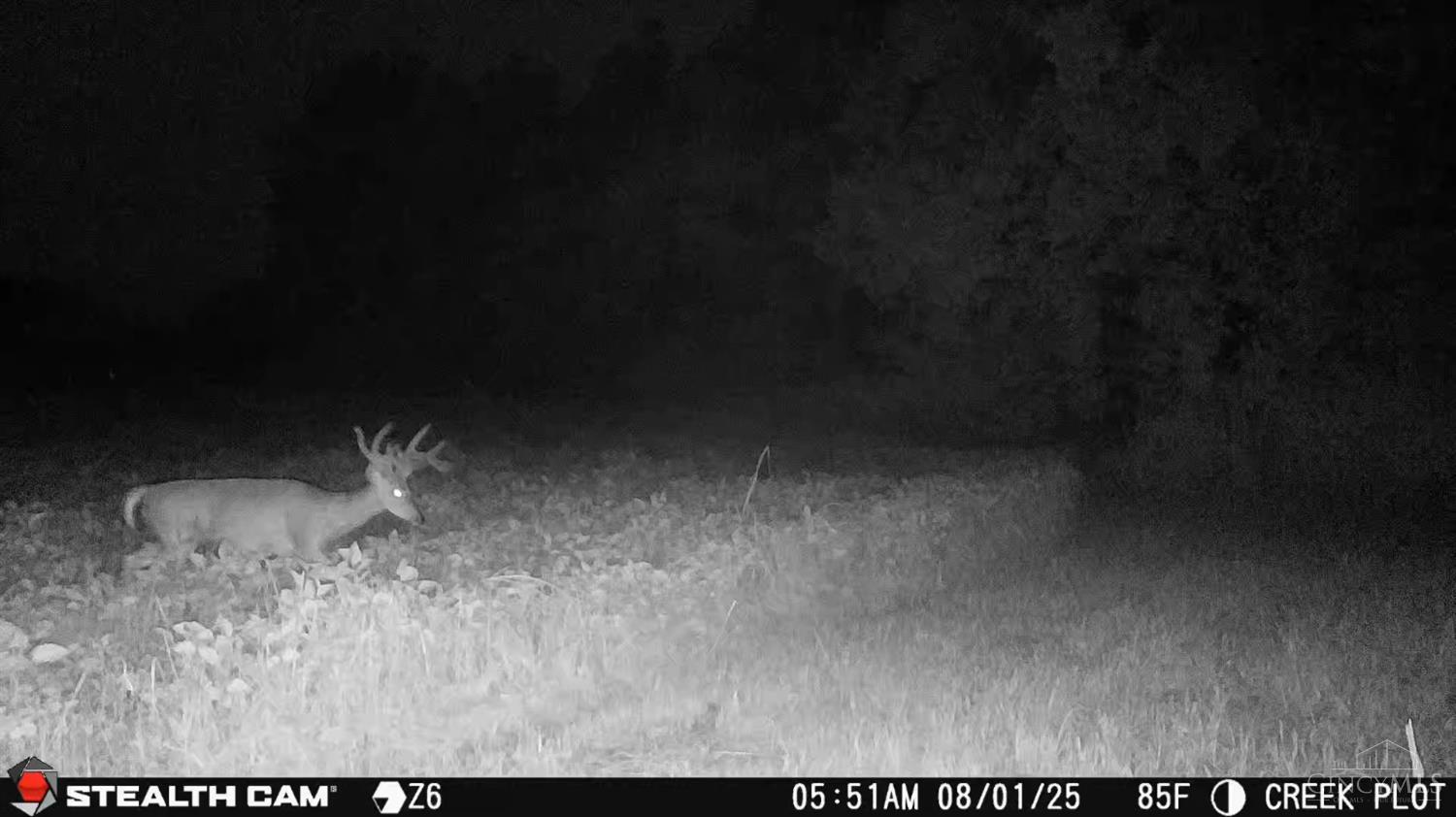 0 Inlow- Tract 2 Avenue Peebles, OH 45660 - Photo 20 of 24