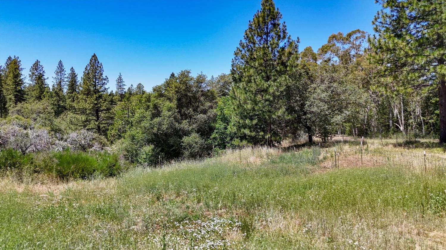 12666 Robinson Road Nevada City, CA 95959 - Photo 55 of 72