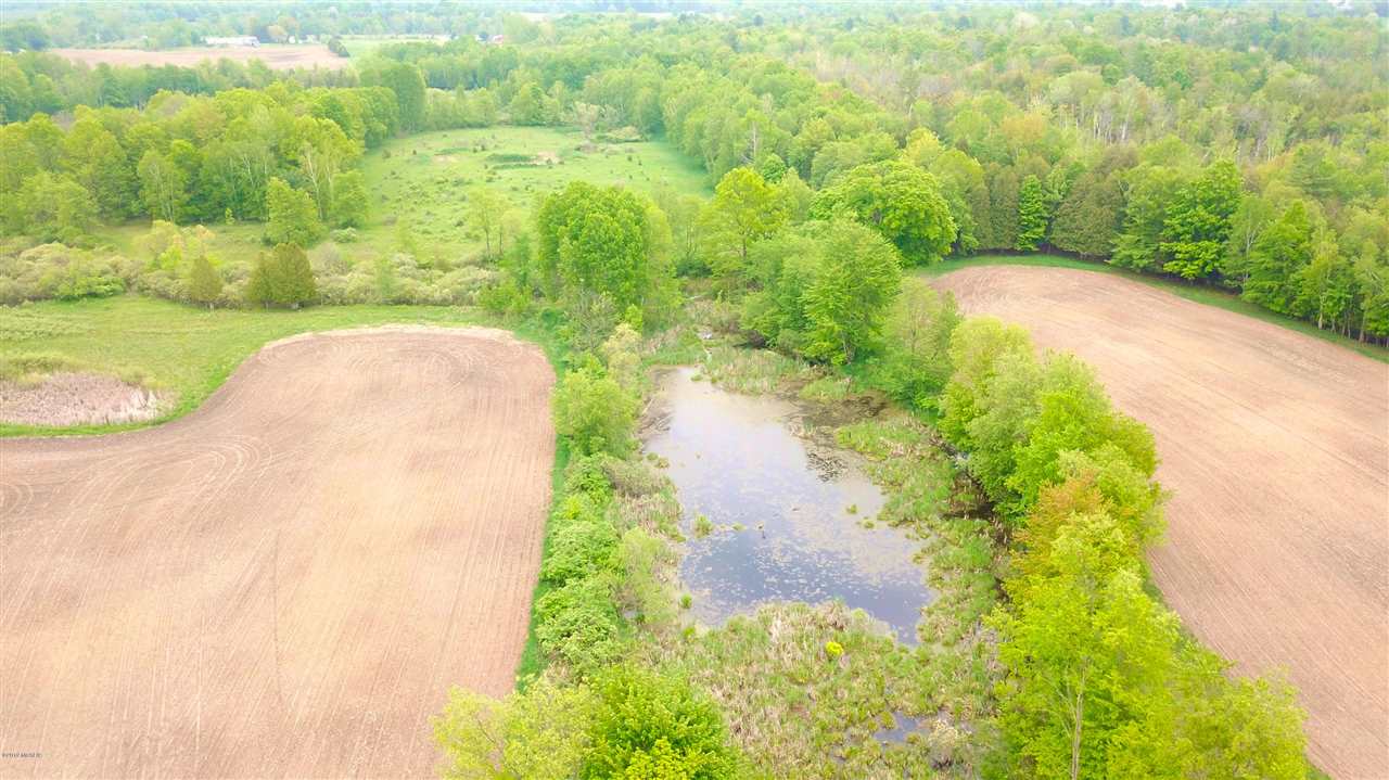 Tbd 7 Mile (86.47 Acres) Road Remus, MI 49340 - Photo 18 of 29