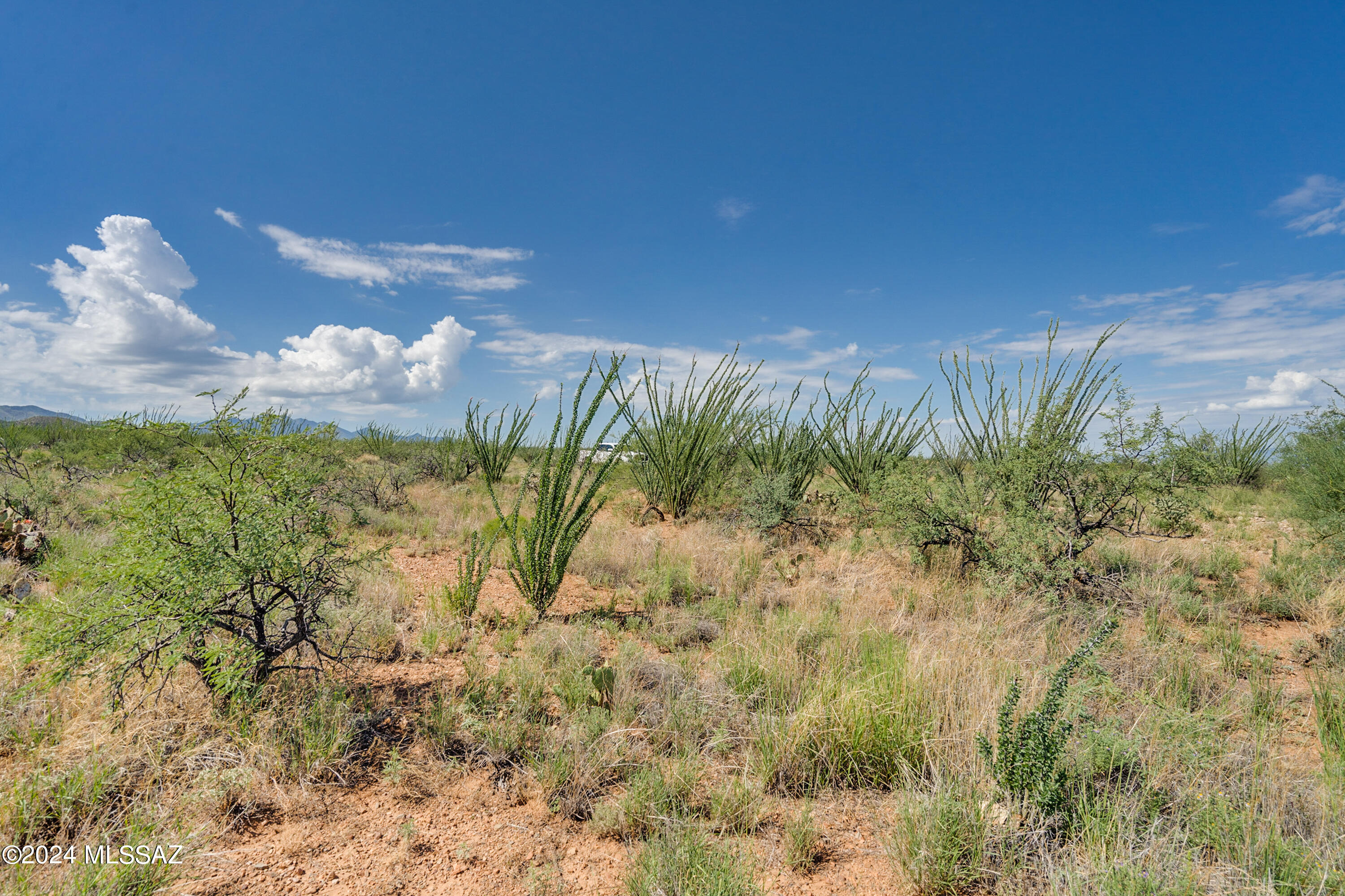 9789 East Ocotillo Rim Trail Vail, AZ 85641 - Photo 29 of 29 Ocotillo Rim Trl-11