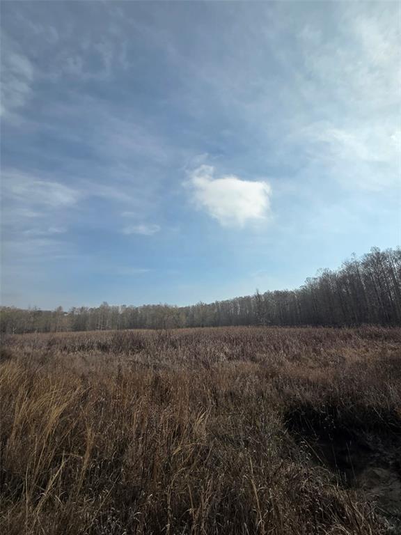 1106 Fox Hunter S Road Perry, FL 32348 - Photo 12 of 23