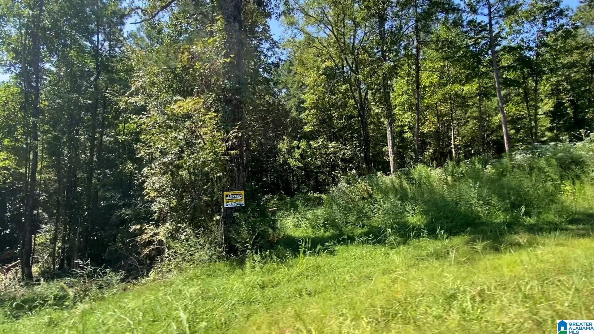 50 Scenic Valley Road, Unit TRACT 3 Springville, AL 35146 - Photo 8 of 10