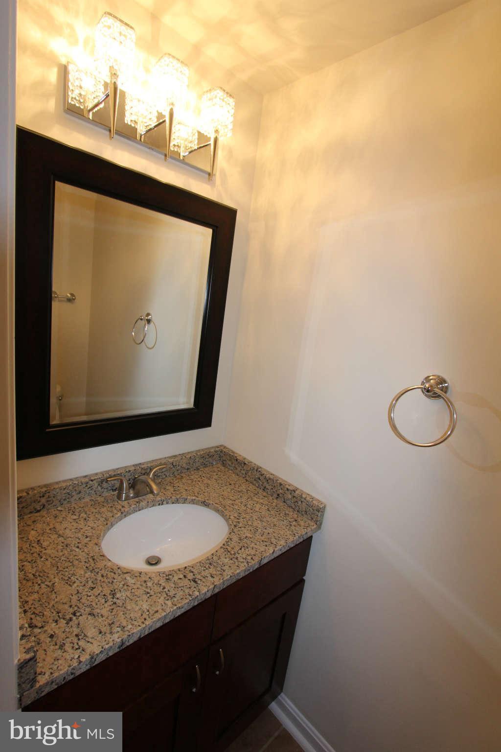 21301 Mirror Ridge Place Sterling, VA 20164 - Photo 12 of 30 Half Bath MAin