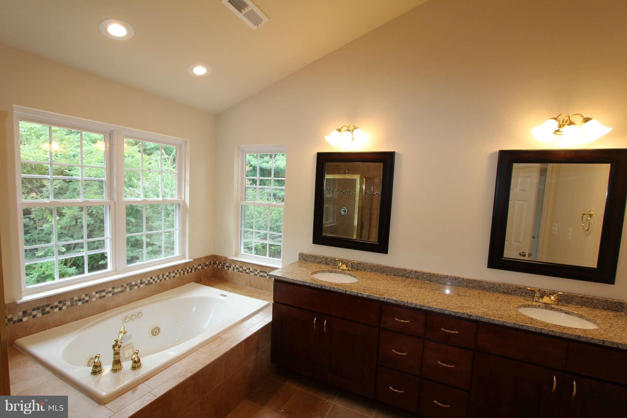 21301 Mirror Ridge Place Sterling, VA 20164 - Photo 24 of 30 Full Bath Master