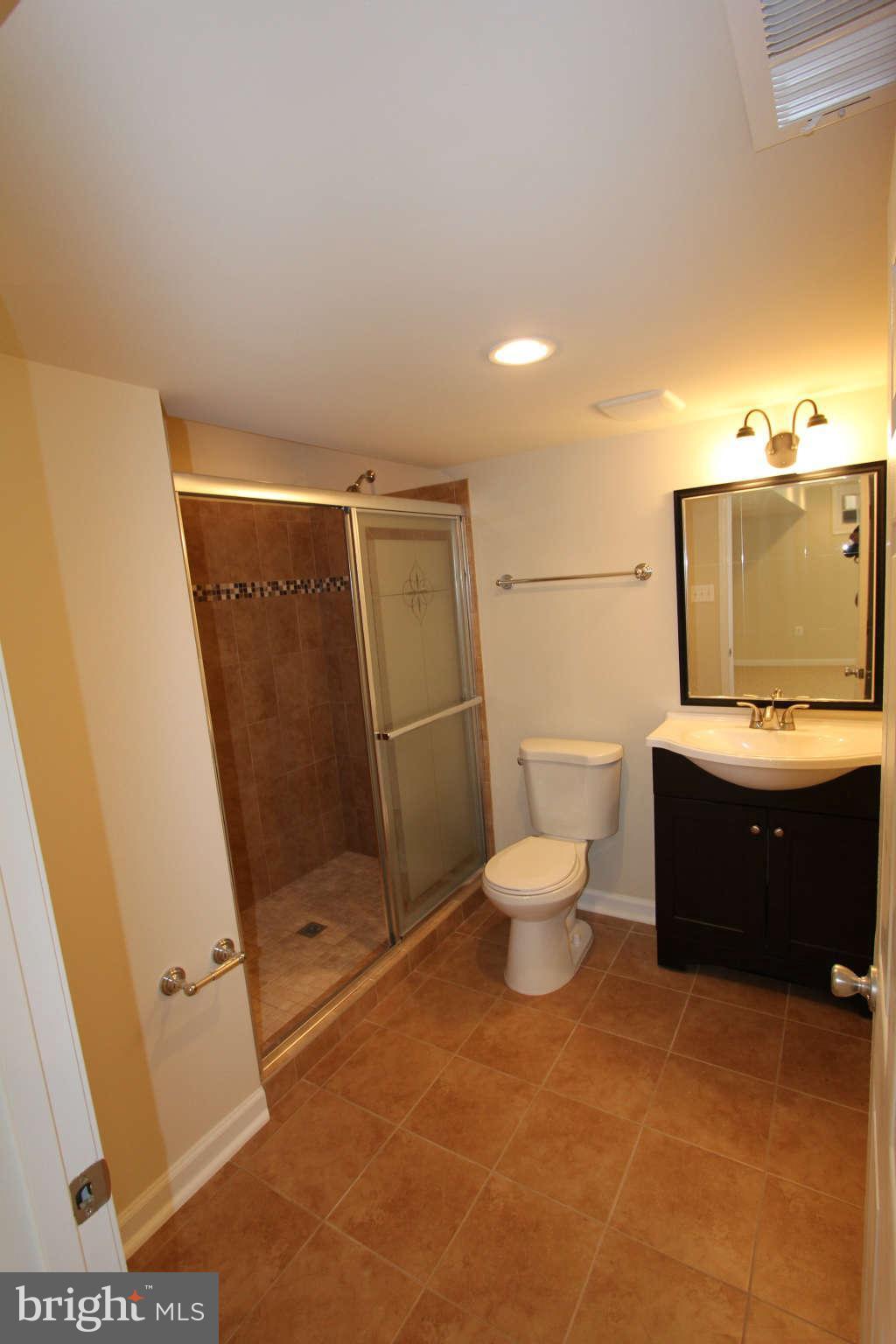 21301 Mirror Ridge Place Sterling, VA 20164 - Photo 26 of 30 Full Bath Basement