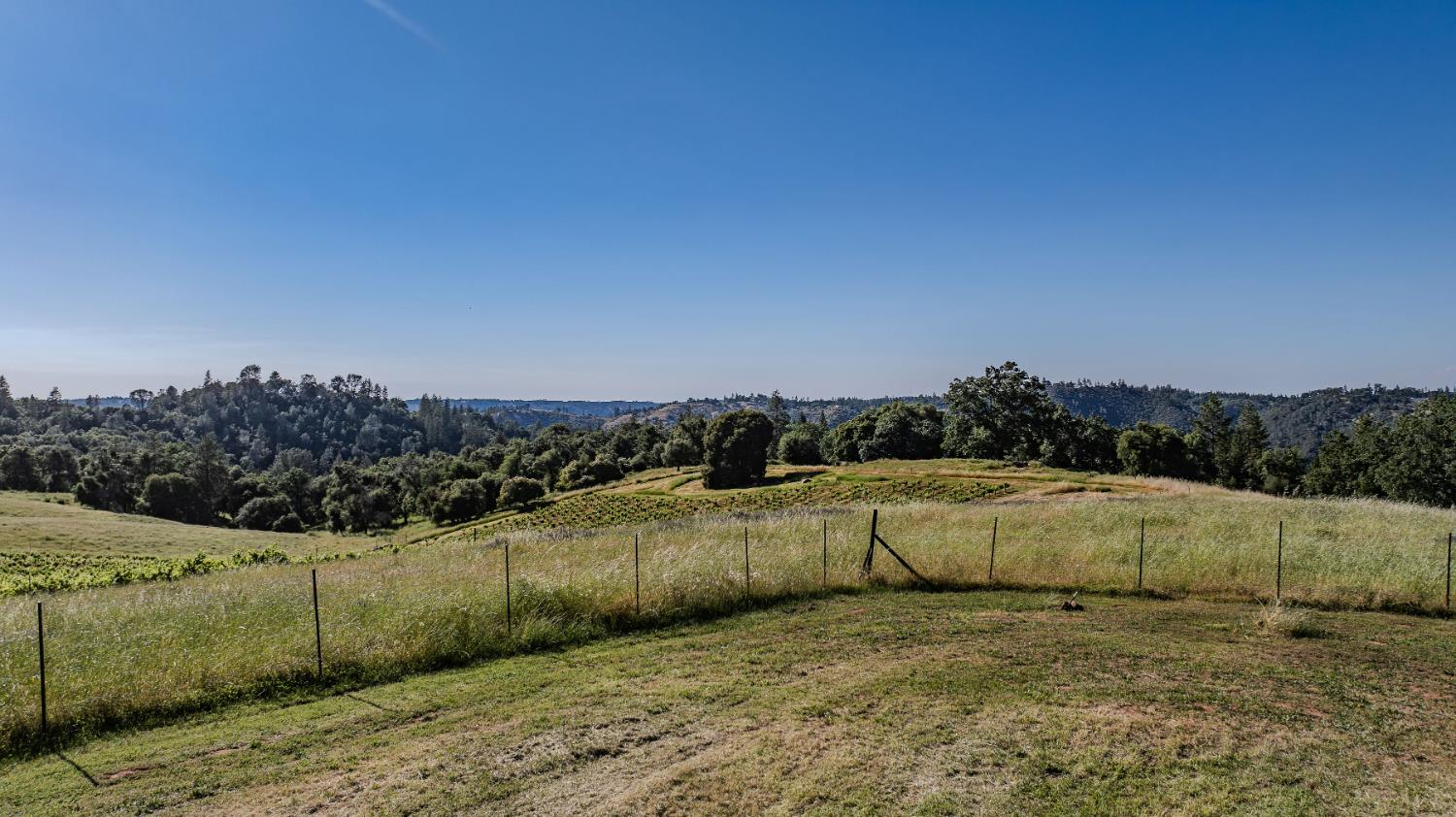 12551 Steiner Road Plymouth, CA 95669 - Photo 15 of 19