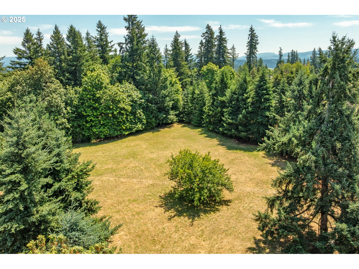 20068 South Ridge Road Oregon City, OR 97045 - Photo 44 of 47 a view of a yard