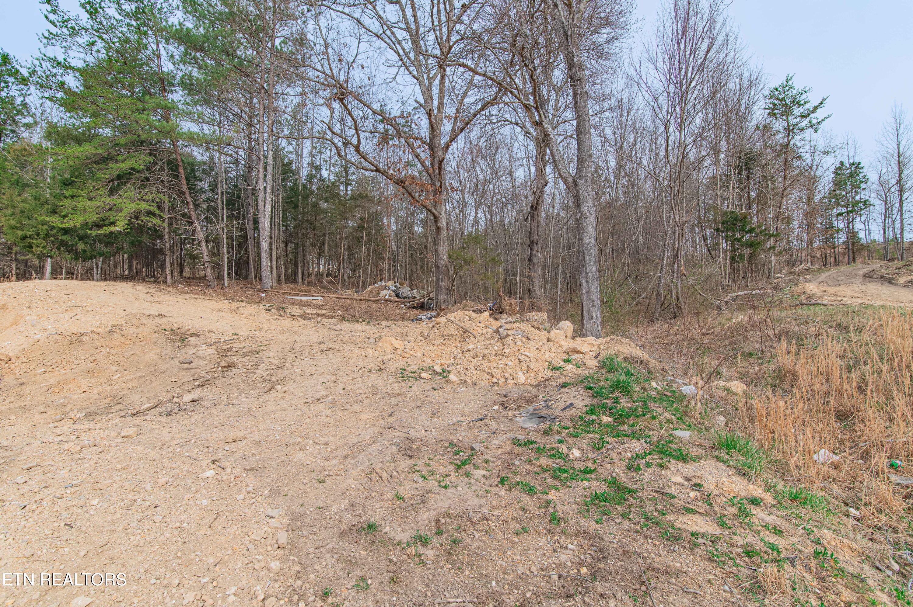 932 Woods Hollow Road Decatur, TN 37322 - Photo 25 of 29 Yard