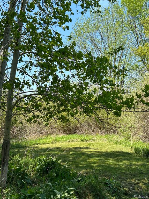 6725 Townsend Road Applegate, MI 48401 - Photo 20 of 32