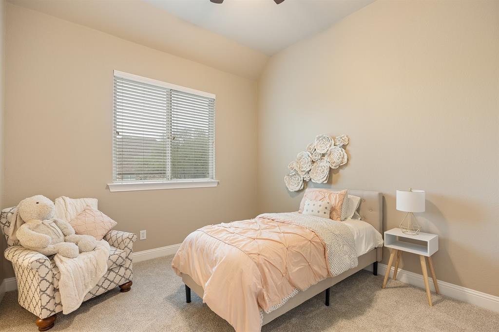 1445 Timber Ridge Trail Cross Roads, TX 76227 - Photo 20 of 40