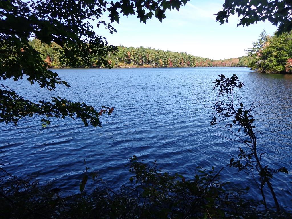 0 Fox Run Liberty, ME 04949 - Photo 5 of 10 Photo