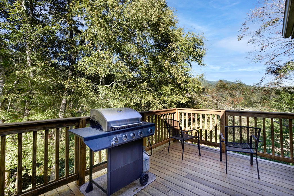 14 Rivendell Way Hayesville, NC 28904 - Photo 42 of 70