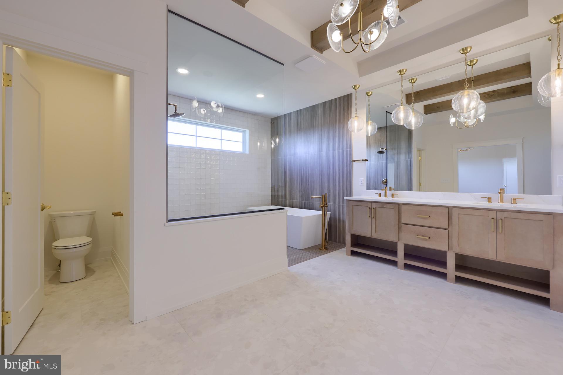 1233 Hunsicker Road Lancaster, PA 17601 - Photo 20 of 23 a bathroom with a double vanity sink a toilet a mirror and shower