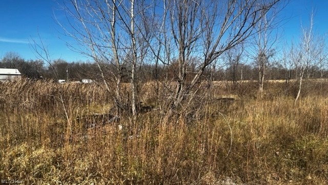 3427 Ridgely Tract Road Southeast Newark, OH 43056 - Photo 5 of 35
