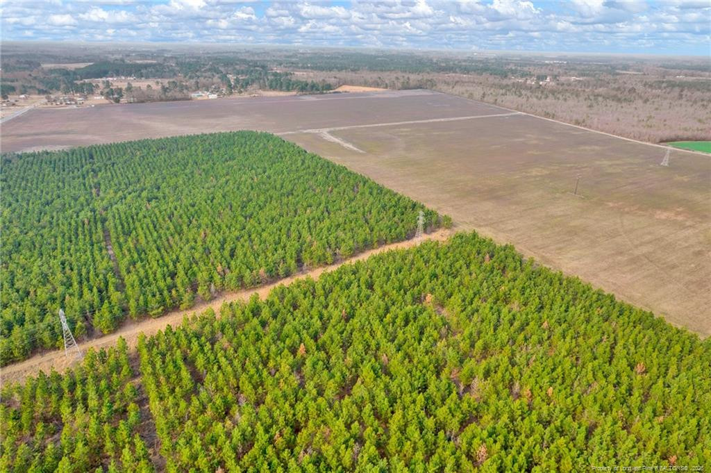 0 Paddock Meadows Red Springs, NC 28377 - Photo 20 of 29