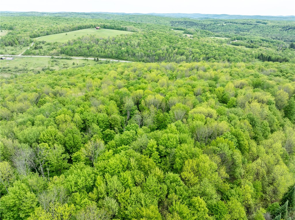 24 County Road New Berlin, NY 13411 - Photo 14 of 19