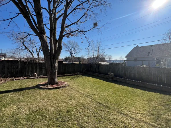 a tree in middle of the garden