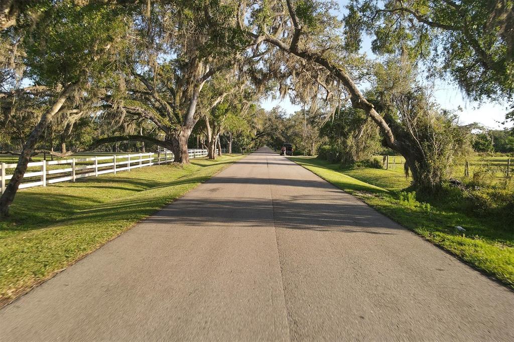 Lena Road in Myakka on  the way home.