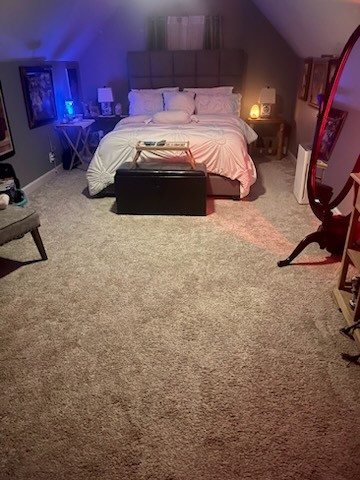 3418 Wellington Place Murfreesboro, TN 37128 - Photo 23 of 31 a bedroom with a bed and a potted plant on the dresser