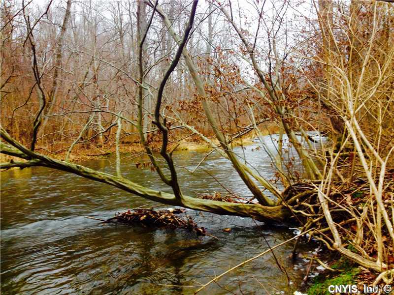 Land. Fantastic opportunity for hunters and fisher