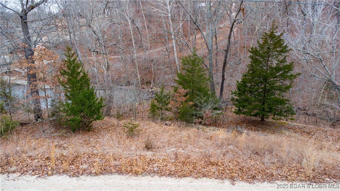 Tbd Berry Road Stover, MO 65078 - Photo 1 of 1 Gallery Image 1