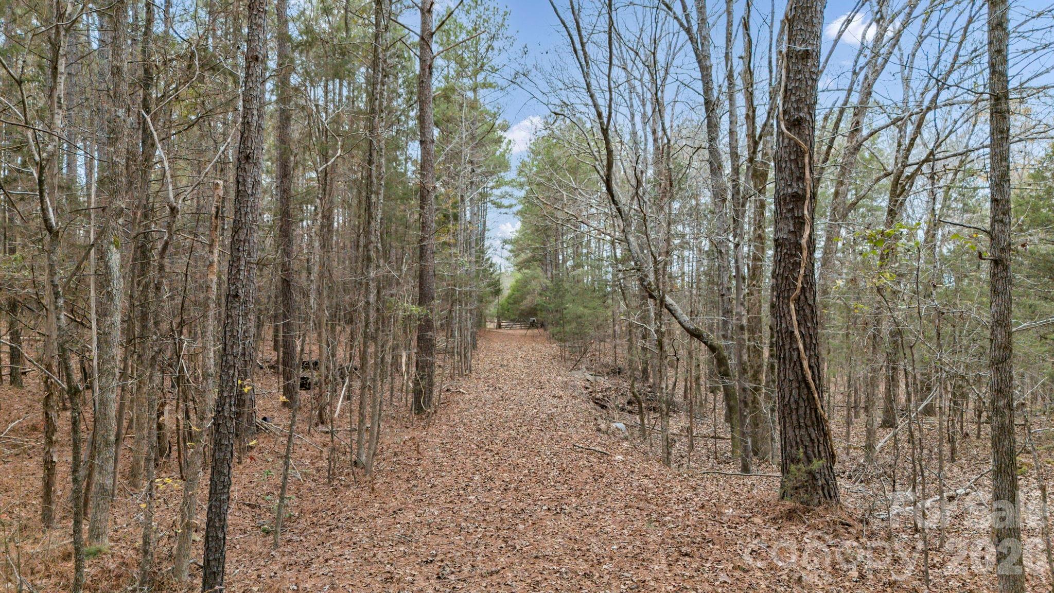 6330 Richburg Road Great Falls, SC 29055 - Photo 18 of 41