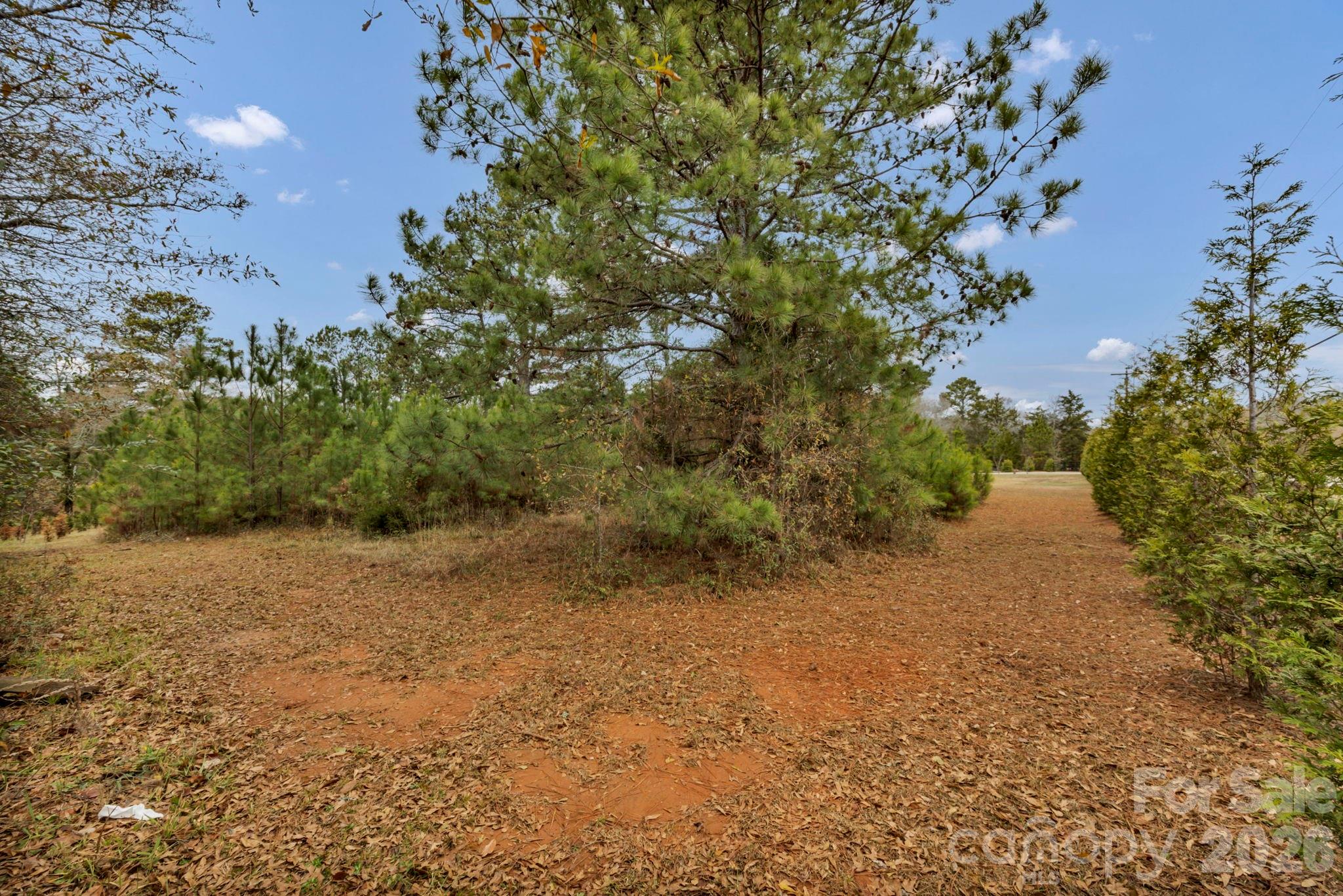 6330 Richburg Road Great Falls, SC 29055 - Photo 25 of 41